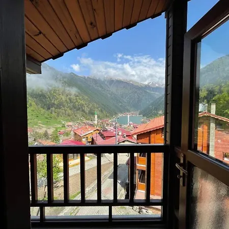 Simo Apartment Uzungol