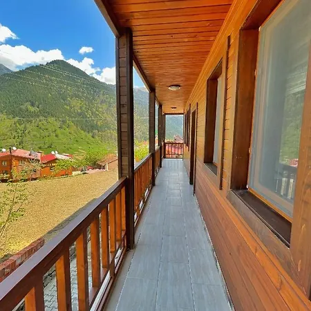 Apartment Simo Uzungol