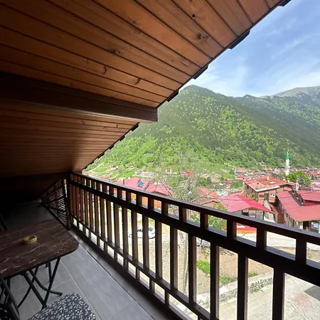 Simo Apartment Uzungol