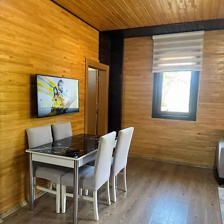 Simo Apartment Uzungol